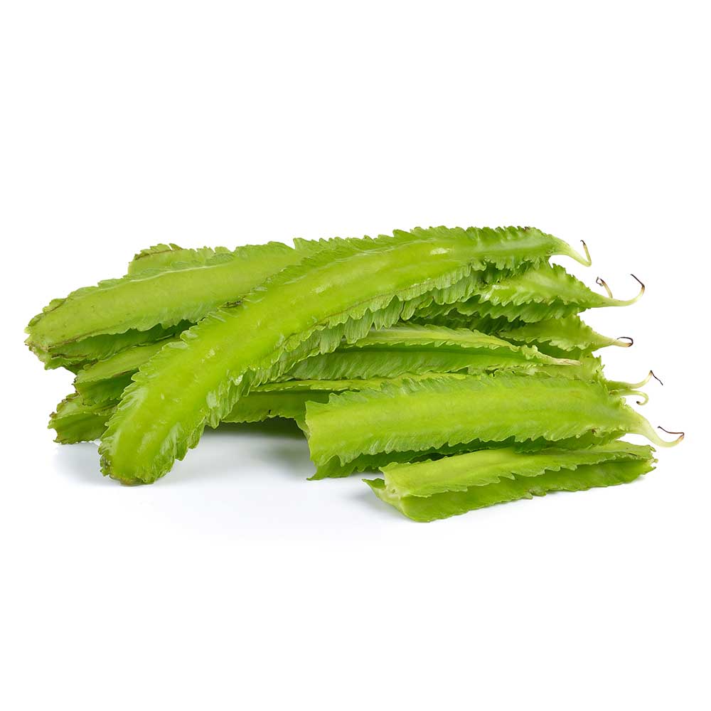 [10253] ASEA Winged Bean 100g /pkt | 翅豆100g / pkt (copy) (copy)